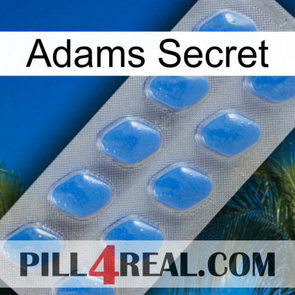 Adams Secret 22.jpg